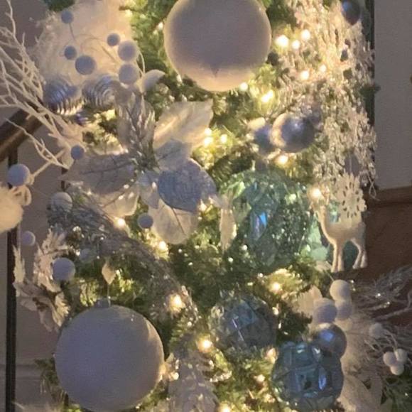 Meet your Posher, Sam - Picture 1 of 1